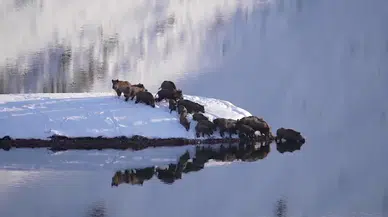 Sivas’ta Tanık Olunan Olağanüstü Geçiş: Soğuk, Buz ve Cesaret