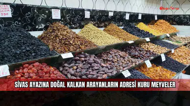 Sivas ayazına doğal kalkan arayanların adresi kuru meyveler