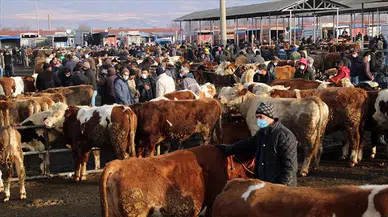 Sivas Suşehri hayvan pazarı gününde değişiklik