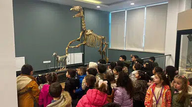 Sivas’ta Çocuklar Dinozorlarla Yüz Yüze Geldi