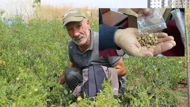 Sivas'ta Yıllarını Adadı, Ata Tohumları Ücretsiz Dağıttı