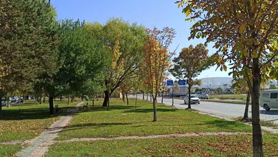 Sivas’ta Sonbahar Rüzgârı Parklarda Renk Cümbüşü Başladı