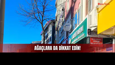 Sivas’ta Alışılmış Tehlikeye Bir Yenisi Daha Eklendi: Ağaçtan Buz Düşebilir!