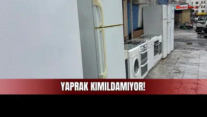 Sivas Piyasasında Yaprak Kımıldamıyor!