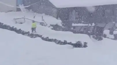 Sivas Divriği kar yağışı besicileri vurdu! Keçilerin karla imtihanı