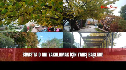 Sivas'ta O Anı Yakalamak İçin Yarış Başladı!
