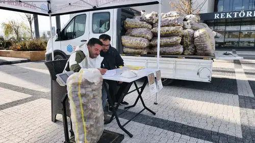 Sivas'ta Ar-Ge ile geliştirilen patatesler satışta