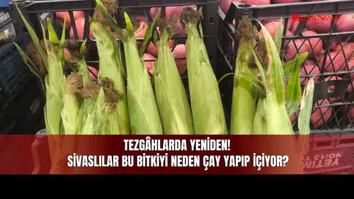 Tezgâhlarda Yeniden! Sivaslılar Bu Bitkiyi Neden Çay Yapıp İçiyor?