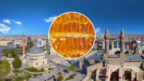 Kış Sofraları Ondan Sorulur! Zara Balı'nın O Eşsiz Lezzetinin Sırrı Ne?