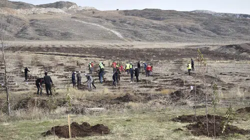 Sivas'taki Sanayi Bölgesinde Yeşil Devrim Yaşanıyor!