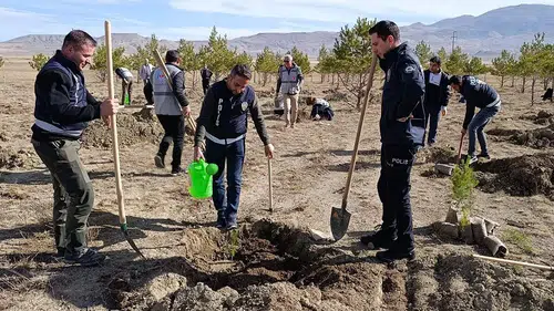 Sivas Ulaş ve Gemerek’te geleceğe yeşil miras