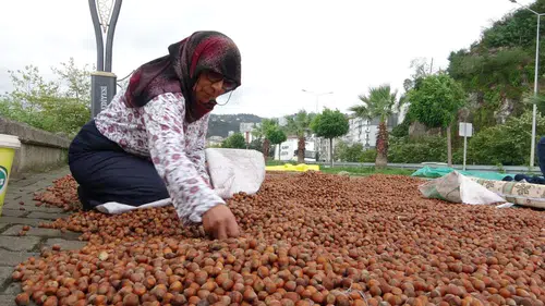 Üreticiye fiyat düşen fındık, tüketimde niçin artıyor?