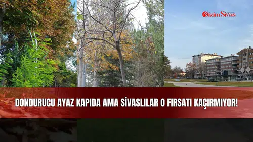 Dondurucu Ayaz Kapıda Ama Sivaslılar O Fırsatı Kaçırmıyor!