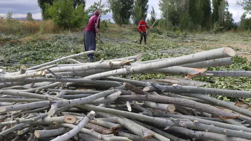 Fiyatlar El Yakıyor, Odun Isıtıyor: Kırsalda Kış Hazırlığı