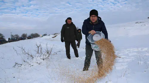 Sivas’ta Yaban Hayatına Kış Desteği: Doğaya Yem Bırakıldı