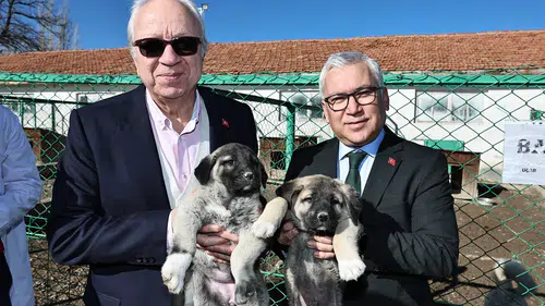 TİGEM'deki Gelişmeler Mercek Altında! Vali Şimşek'ten Ziyaret!