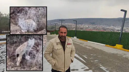 Sivas’ta Nadir Görülen Anlar: Cep Telefonuyla Görüntülendi