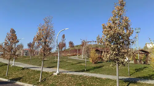 Sivas’ta Parklarda Neler Oluyor?