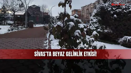 Sivas’ta Beyaz Gelinlik Etkisi! O Bölgedeki Sessizliği Bozan Tek Şey Deklanşör Sesi Oldu