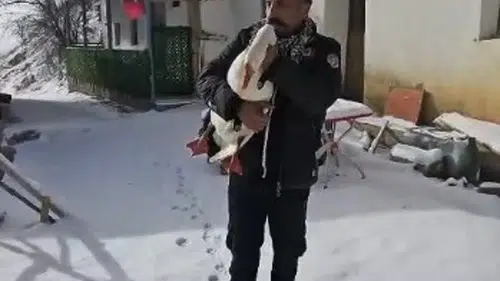 Misafir İçin Kesilecekti… Ama Önce Helallik İstedi