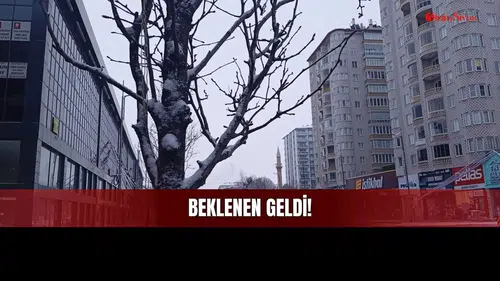 Sivas'ta Kar Yağışı Birçok Aktivitenin de Habercisi!