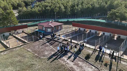 Sivas Kangal’ın sırrı bu merkezde saklı: Dünyadan ziyaretçi akını