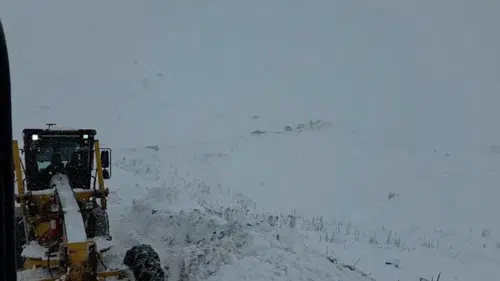 Son Dakika! Artvin'de Çığ Düştü! 2 Bin Rakımda Zamanla Yarışılıyor!