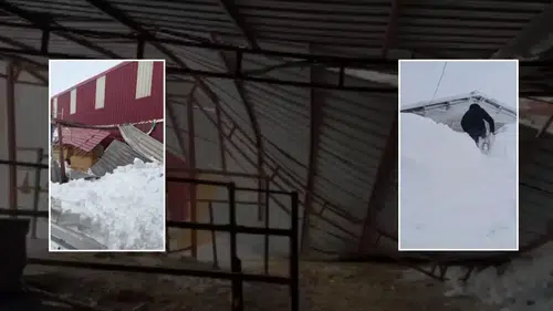 Sivas'ın O İlçesinde Karın Ağırlığı Facia Getiriyordu! Çatı Kağıt Gibi Ezildi!