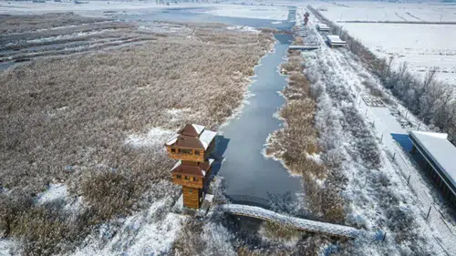 Tokat'ta Adeta Buzdan Bir Saray! Görenler Gözlerine İnanamıyor! Yüzeyi Buz Tuttu!