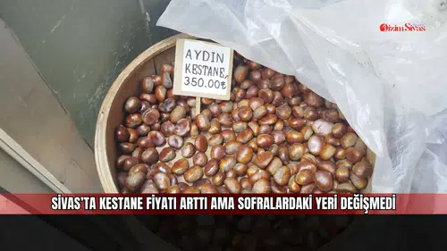 Sivas’ta kestane fiyatı arttı ama sofralardaki yeri değişmedi