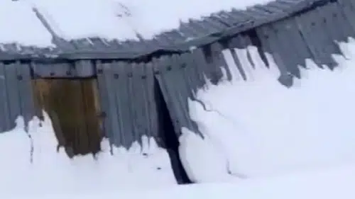 Sivas'ta ahır çatısı çöktü! Bayındır köyünde korku dolu anlar!
