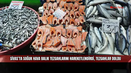 Sivas’ta soğuk hava balık tezgahlarını hareketlendirdi, tezgahlar doldu