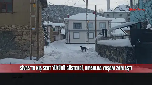 Sivas’ta kış sert yüzünü gösterdi, kırsalda yaşam zorlaştı