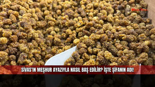 Sivas’ın Meşhur Ayazıyla Nasıl Baş Edilir? İşte Şifanın Adı!