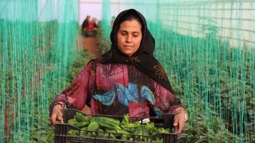 Tarımda Alarm Zilleri: Girdi Fiyatları Yükselişini Sürdürüyor