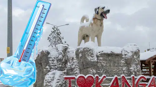 Sivas, Türkiye'nin En Soğuk Yeri Oldu! Tüm Türkiye'de Hava Sıcaklığı Sıfırın Altına Düştü!