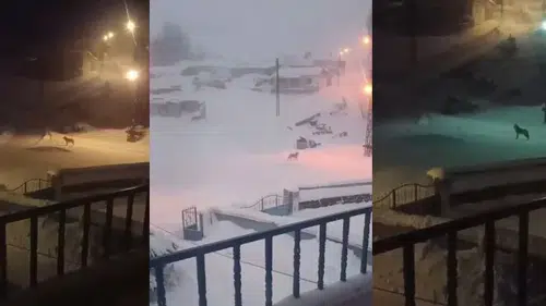 Sivas’ta Kışın Getirdiği Tehlike Bu Kez Kapıya Dayandı