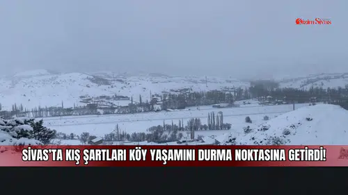Sivas’ta kış şartları köy yaşamını durma noktasına getirdi!