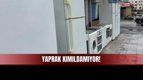 Sivas Piyasasında Yaprak Kımıldamıyor!