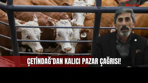 Sivas Merkezde Hayvan Pazarı İhtiyacı Var