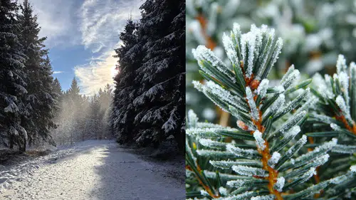 Zemheri Bitti mi? Gücük Ayında Neler Yaşanacak? Doğada Neler Değişiyor? 2026 Zemheri ve Gücük Ayı!