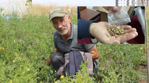 Sivas'ta Yıllarını Adadı, Ata Tohumları Ücretsiz Dağıttı