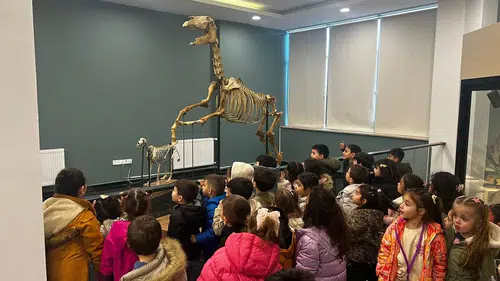 Sivas’ta Çocuklar Dinozorlarla Yüz Yüze Geldi