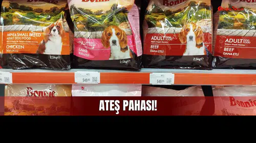 Sivas'ta Patili Dostların Sofrasında Yangın Var!