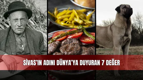 Sivas’ın Adını Dünya’ya Duyuran 7 Değer