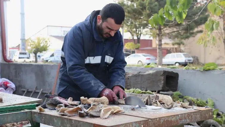 Sivas’ta bıçak zanaatının arka planındaki bilinmeyenler