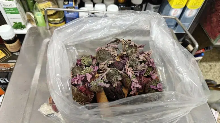 Geçmeyen Öksürük Kabusuna Son! Aktarların Gizli Reçetesi Ortaya Çıktı!