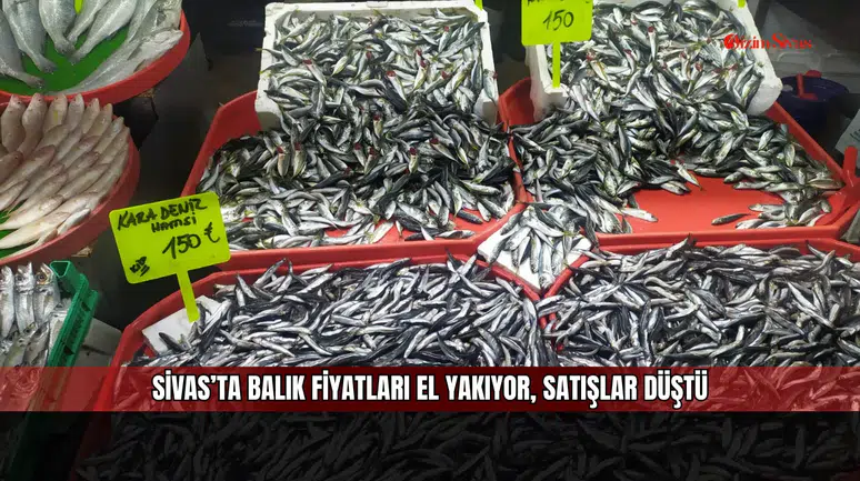 Sivas’ta balık fiyatları el yakıyor, satışlar düştü