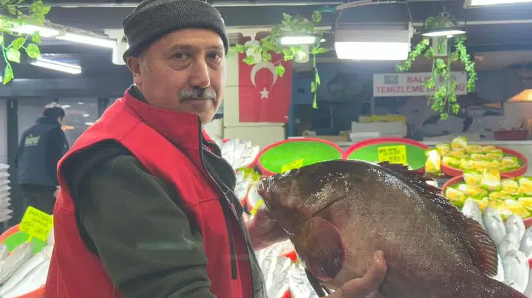 Sivas’ta dev orfoz balığı görenleri şaşırttı