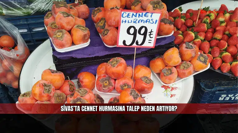 Sivas’ta Cennet Hurmasına Talep Neden Artıyor?